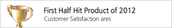 First Half Hit Product of 2012: Digital Times (customer satisfaction area)
